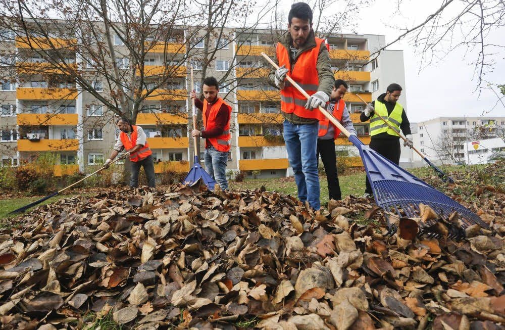 Die syrischen Flüchtlinge in Neustadt wollen sich nützlich machen. Für Sofian, Ahmad, Faraj, Kamak und Samer (v.l.n.r) ist die Arbeit an der frischen Luft eine willkommene Abwechslung.