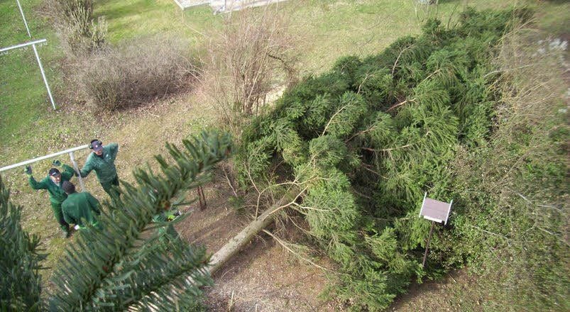 Dieses Foto machte Brigitta Reimann von ihrem Balkon aus.