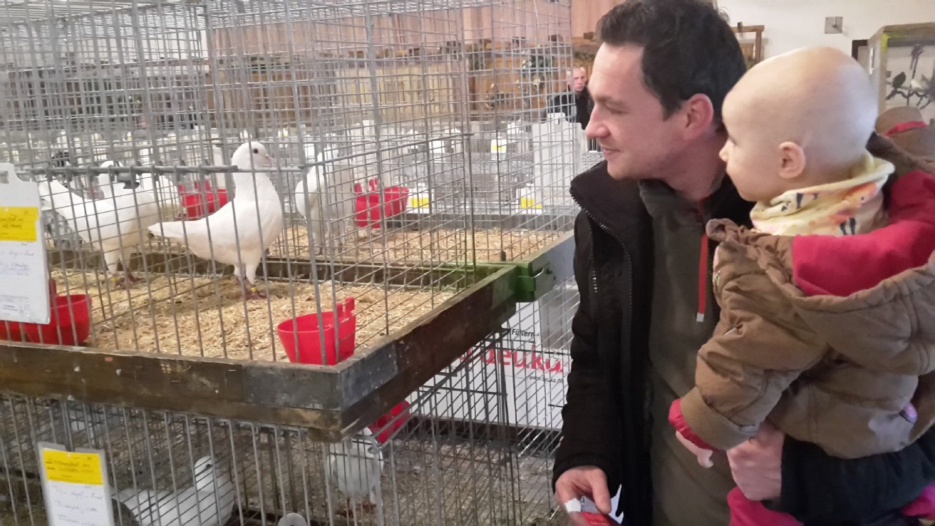 Auch die kleinen Besucher waren an den Tieren interessiert.