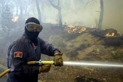 Ein Feuerwehrmann in Schutzbrille bekämpft mit Schlauch die Flammen eines Waldbrandes im Ort Macanet de la Selva in Katalonien in Nordostspanien. (Foto: dpa)