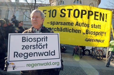 Ein Biosprit-Gegner protestiert in Berlin vor dem Bundesministerium für Wirtschaft und Technologie. (ARCHIVFOTO: DPA)