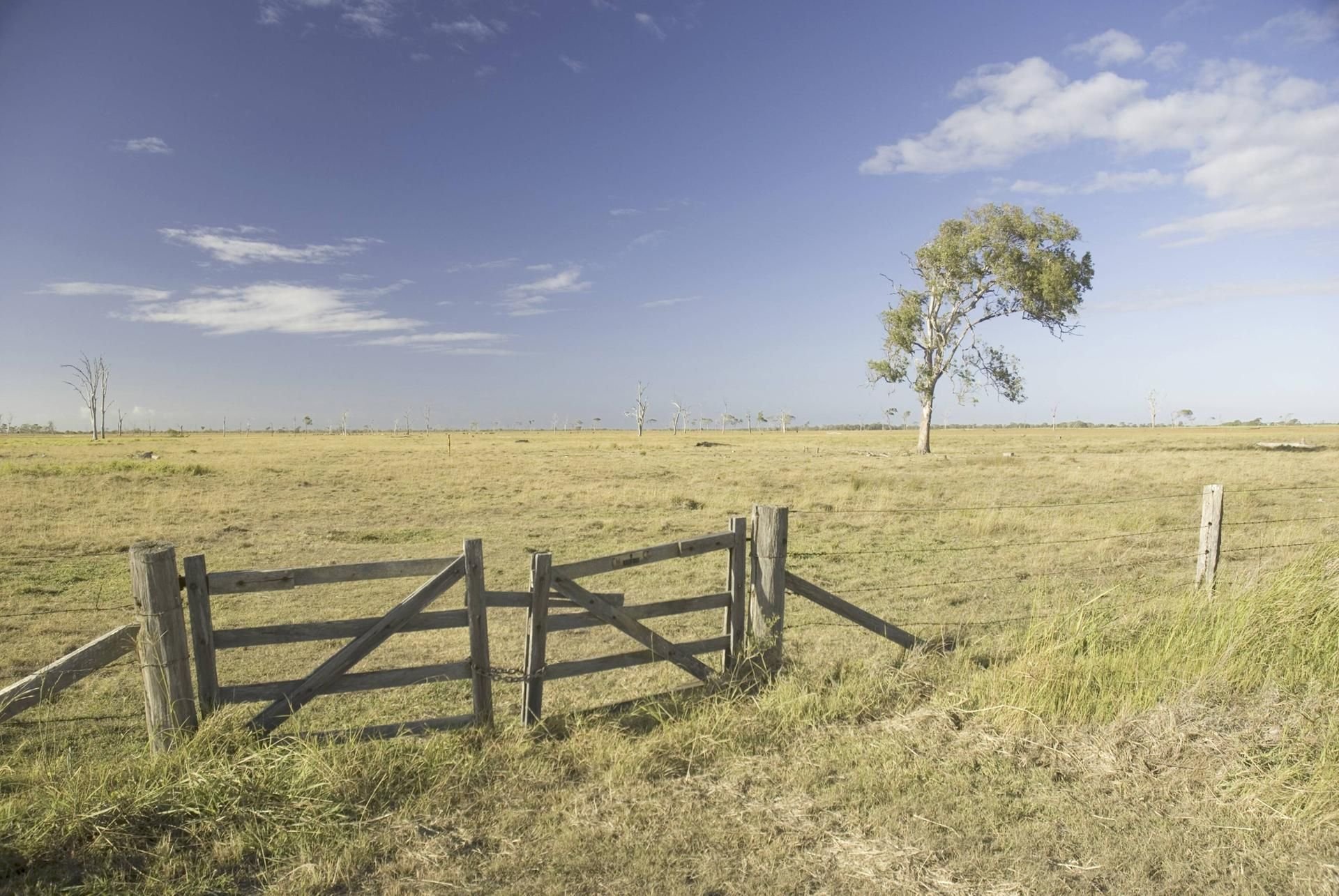 In Australien ist eine Frau aus Leipzig bei einem Unfall auf einer Farm gestorben. (Symbolbild)