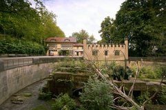 Alte Heimat: Der 3,5 Meter tiefe Bärengraben in Bern ist schon mehr als 150 Jahre alt. (Foto: dpa)