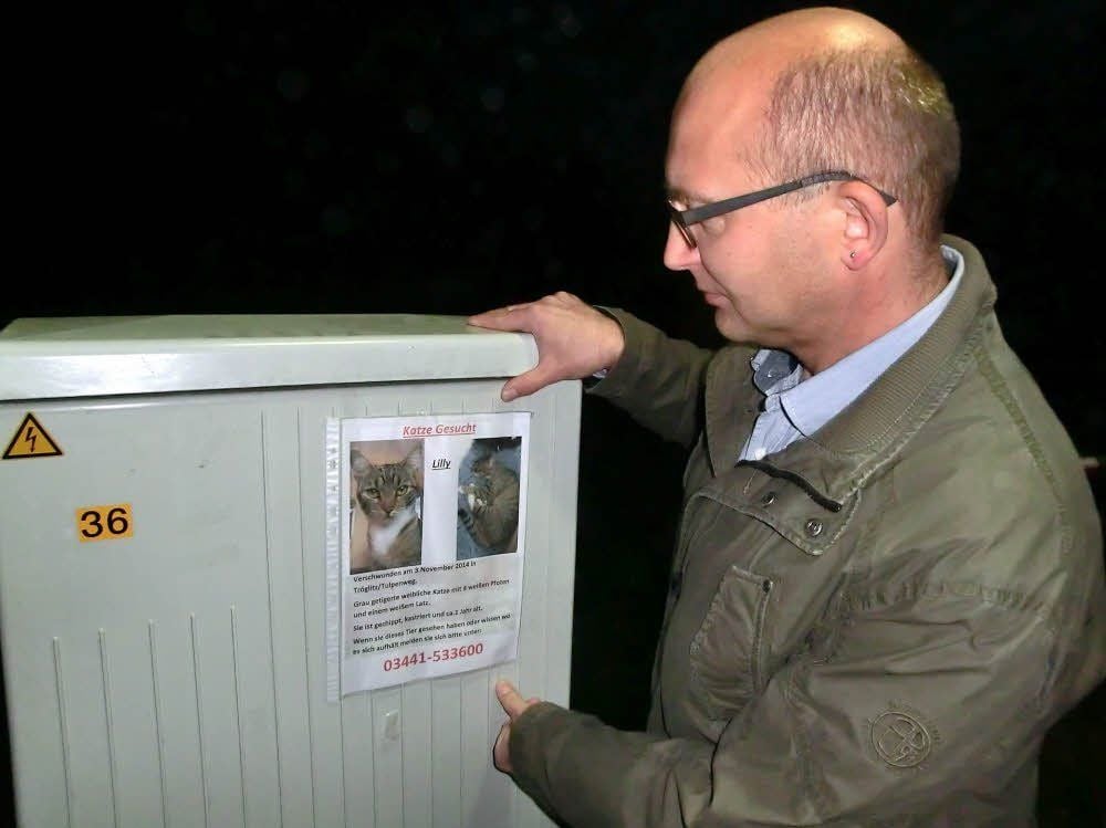 Thomas Suk hat in Tröglitz Aushänge verteilt, denn er sucht seine Katze Lilly. Sie ist seit 3. November spurlos verschwunden.
