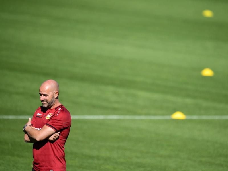 Leverkusens Coach Peter Bosz beobachtet das Training seiner Mannschaft. Foto: Sascha Schuermann/AFP-Pool/dpa