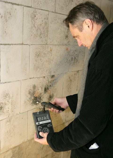 Schimmel als Streitfall vor Gericht: Oft erstellt ein Sachverständiger ein Gutachten über die Ursachen der Schimmelbildung. (FOTO: DPA)