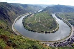 Am Calmont zwischen Bremm und Erdinger-Eller sind die Hänge oberhalb der Mosel besonders steil - von den Winzern ist daher alpines Klettern gefordert.