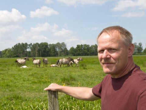 Peter Neuhäuser vom Naturschutzbund Deutschland (NABU) steht vor einer Herde Wildpferde unweit des altmärkischen Buch.