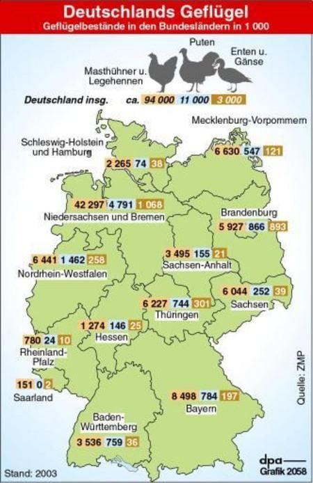 Geflügelbestände in den Bundesländern (Grafik: dpa)
