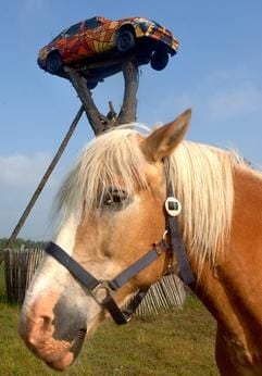Ein Pferd steht vor einem aufgebockten Auto auf dem Parkplatz von Deutschlands wohl erstem Baumhaushotel, das am kommenden Samstag (18. Juni 2005) im ostsächsischen Zentendorf nördlich von Görlitz eröffnet wird, aufgenommen am Donnerstag (16.06.2005). (Foto: dpa)