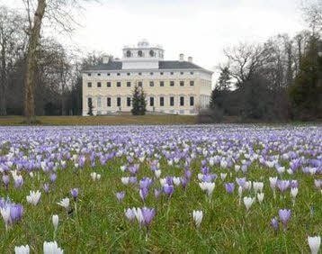 Das Schloss Wörlitz wurde vor 250 Jahren erbaut.
