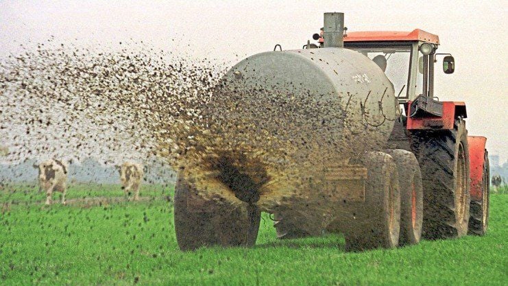 In Bösdorf sind nach einer Havarie 1,6 Millionen Gülle ausgelaufen.