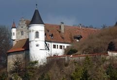 Das Foto zeigt das Schloss Neidstein bei Etzelwang (Oberpfalz). Der US-amerikanische Schauspieler N. Cage hat das rund 500 Jahre alte Schloss vor einigen Monaten gekauft und will das Anwesen jetzt von Grund auf sanieren lassen. (Foto: dpa)