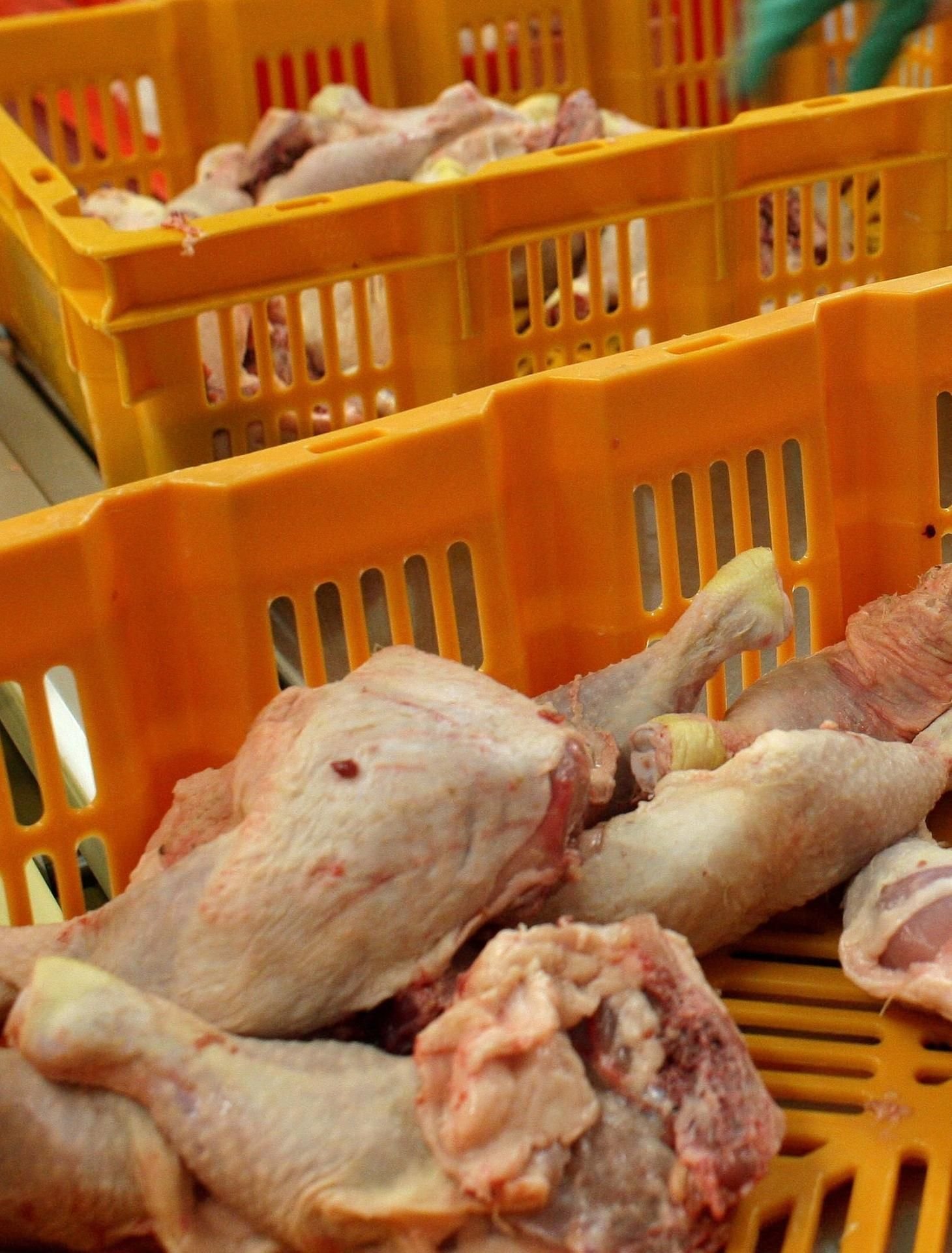 Hähnchenfleisch (Symbolbild)