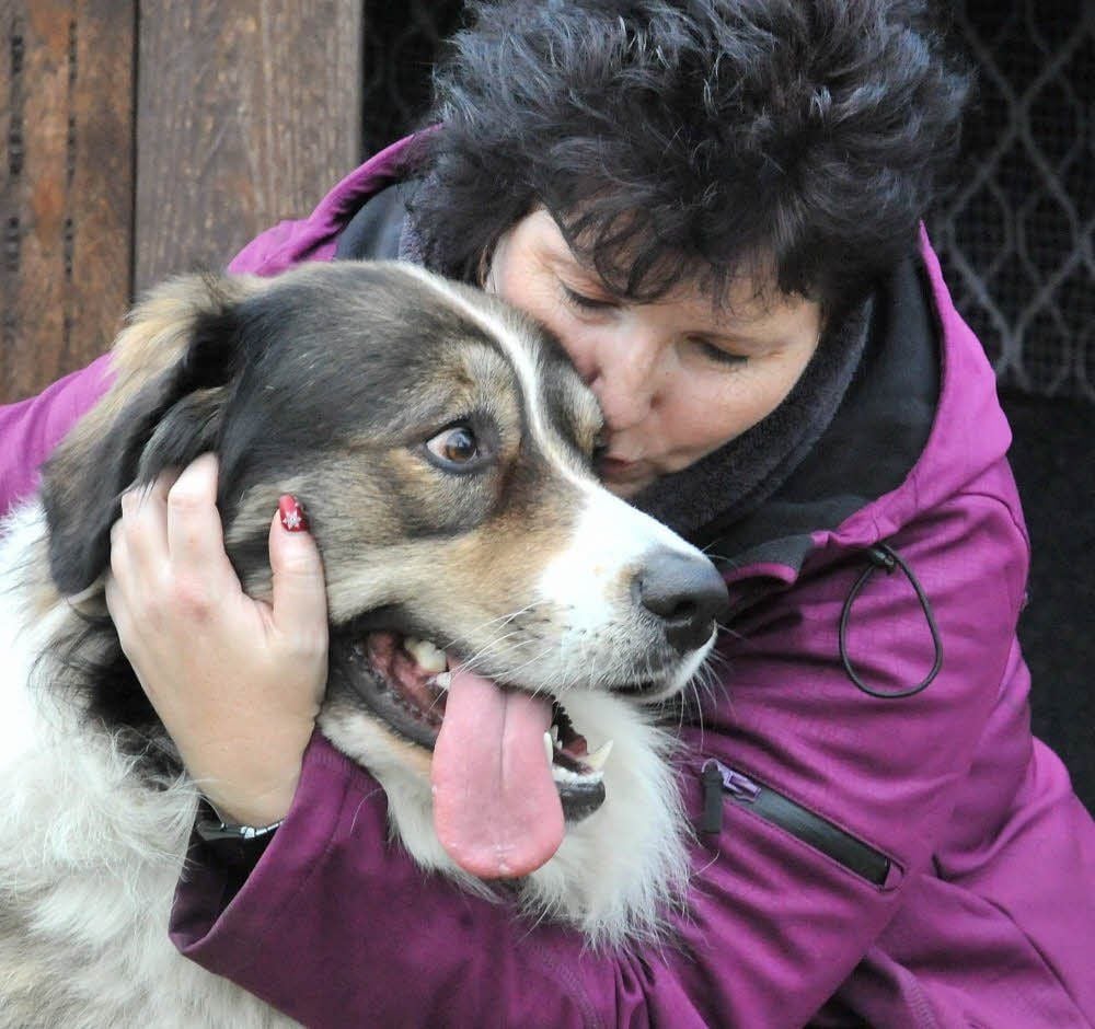 Die Böllerei ängstigt den Hütehund Bruno, er bekommt dann von Frauchen Simone Schönherr besonders viel Zuwendung.