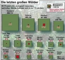 UNEP-Bericht über bedrohte Wälder