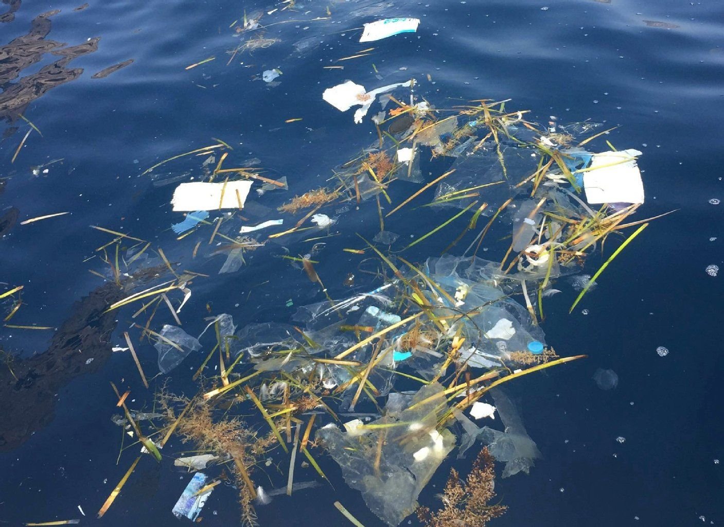 Schwimmender Plastikmüll vor der Baleareninsel Ibiza.