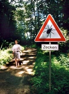 Warnung für Waldspaziergänger - Zecken können gefährliche Krankheiten übertragen. (Foto: dpa)