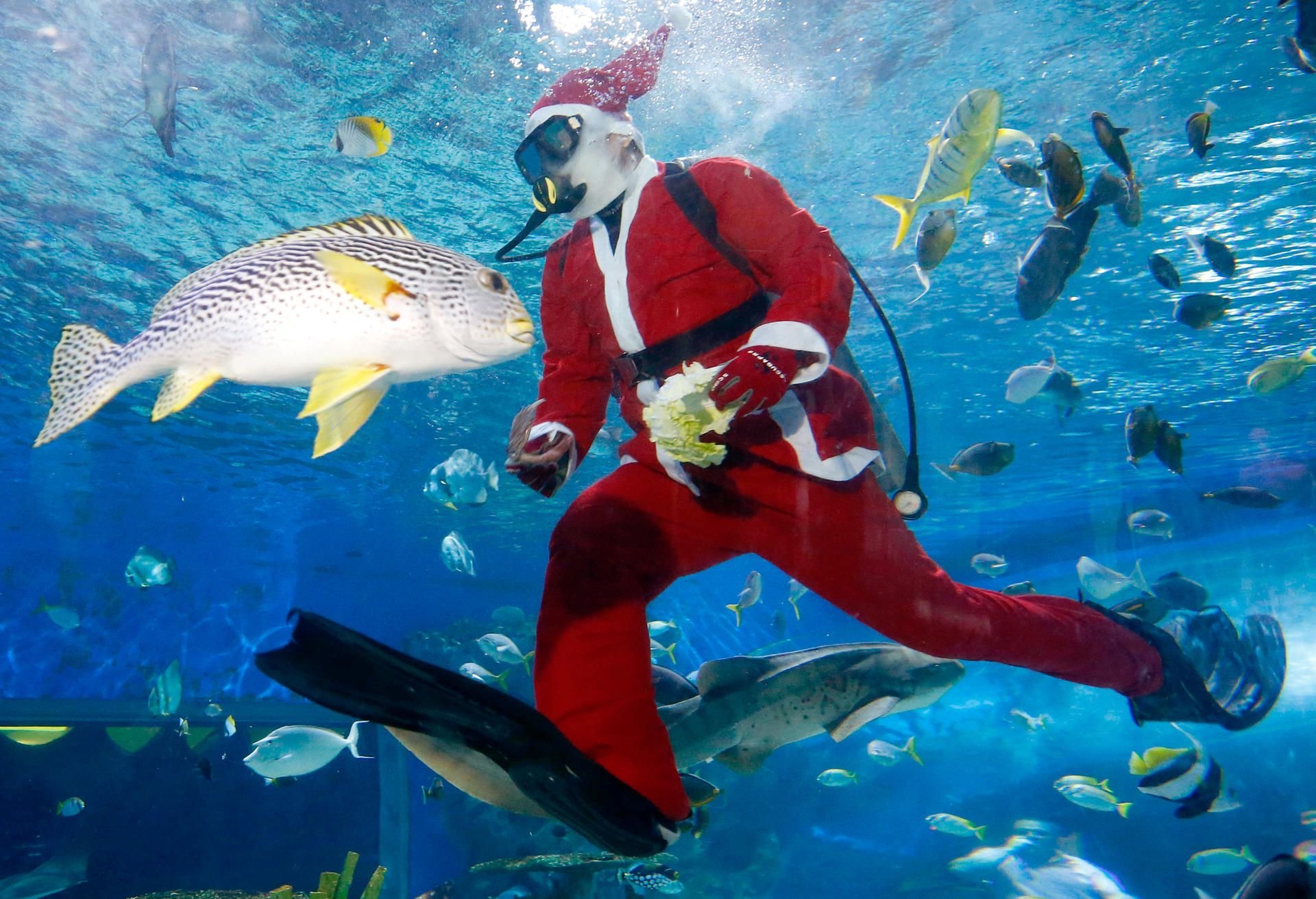 Wir haben für Sie kuriose Fakten über das Weihnachtsfest gesammelt.