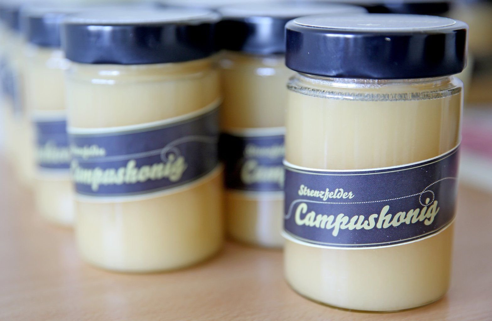 Gläser mit «Strenzfelder Campushonig»