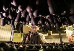 Fleischermeister Marcus Benser reiht in der «Blutwurstmanufaktur» in Berlin Würste auf einen Spieß im Kühlraum. (Foto: dpa)