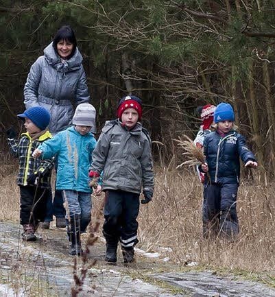 Auf dem Weg zum Baum