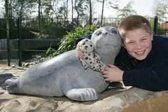 Johannes Steinrücke (11), Pate von Seehund Hannes, lehnt am Montag (21.03.2005) im Tierpark Nordhorn mit seinem Stoffseehund an der Skulptur von Seehund Hannes, die kurz zuvor dort aufgestellt worden war. Die Bildhauerin Petra Röseler-Lansmann hatte eine Skulptur des am 30.08.2004 aus dem Tierpark in Nordhorn ausgerissenen Seehundbabys «Hannes» gefertigt. Der vermutlich in der Nordsee verschollene Hannes wurde aus Granit auf einer Düne aus Sandstein vor dem Gehege aufgestellt. Die Flucht des damals vier Monate alten Seehundbabys hatte Menschen und Medien weit über Niedersachsen hinaus beschäftigt. (Foto: dpa)