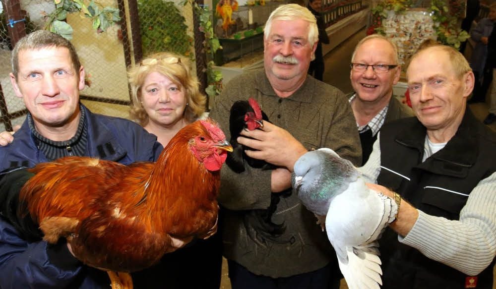 Fünf der derzeit 17 Mitglieder des Rassegeflügelzuchtvereins Baalberge: Werner Conrad (von links) mit seinem Huhn der Rasse Dresdner, Kriemhild Gerlang, Harald Schneider mit seinem Huhn der Rasse Zwerg-Australorps, Dieter Wirth und Horst Mache mit seiner Luchstaube lächeln in die Kamera.