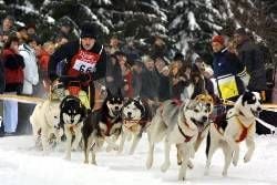 Schlittenhundegespann bei Benneckenstein