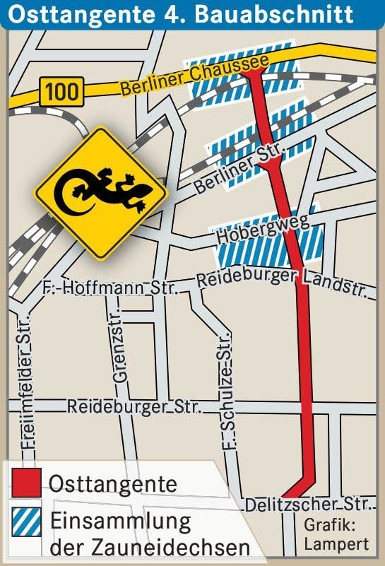 Die Eidechsen sollen an der B 100, entlang still gelegter Bahnanlagen, an der Berliner Straße sowie im Bereich des Hobergwegs und der Reideburger Landstraße eingesammelt werden.