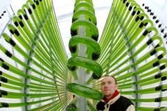 Der Diplombiologe Tilo Mottschall kontrolliert in der Bioprodukte Prof. Steinberg GmbH & Co. KG. Klötze die Produktion der Kugelalge Chlorella vulgaris, die in einem geschlossenen System aus Glasrohren stattfindet. (Foto: dpa)
