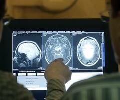 Zwei wissenschaftliche Mitarbeiter des Leibniz-Instituts für Neurobiologie in Magdeburg werten Bilder einer Untersuchung am stärksten Kernspintomographen Europas aus, der zuvor erstmals am Menschen getestet wurde. (Foto: dpa)