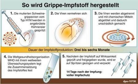 Wie entsteht Impfstoff gegen die Grippe? (GRAFIK: DPA)