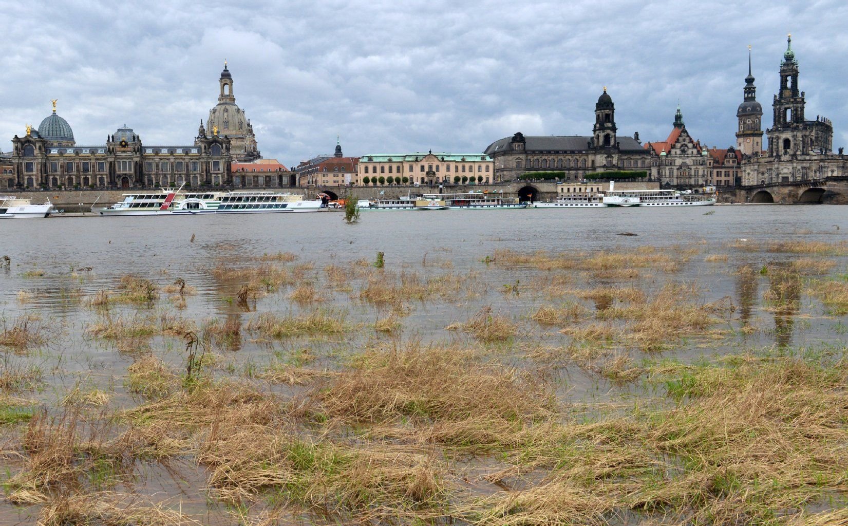 Wasser der Elbe überflutet am 26.Juni die Elbwiesen vor dem Panorama von Dresden.