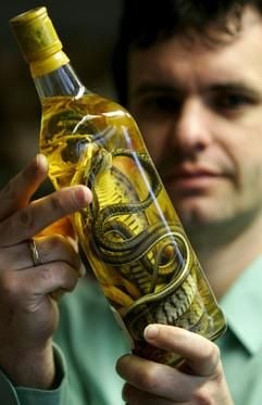 Der Zollbeamte Thomas Meister hält am Münchner Flughafen eine Flasche mit eingelegten Kobras in den Händen. (Foto: dpa)