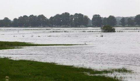 Überflutete Weideflächen. Nach dem Starkregen der vergangenen Woche stehen immer noch viele Äcker, Weiden und Gärten unter Wasser. (FOTO: DPA)