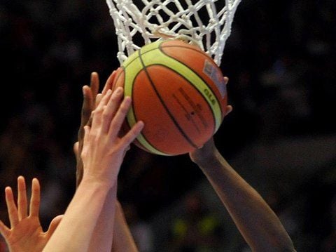 Die Wölfe mussten zu den Albatrossen nach Berlin reisen.