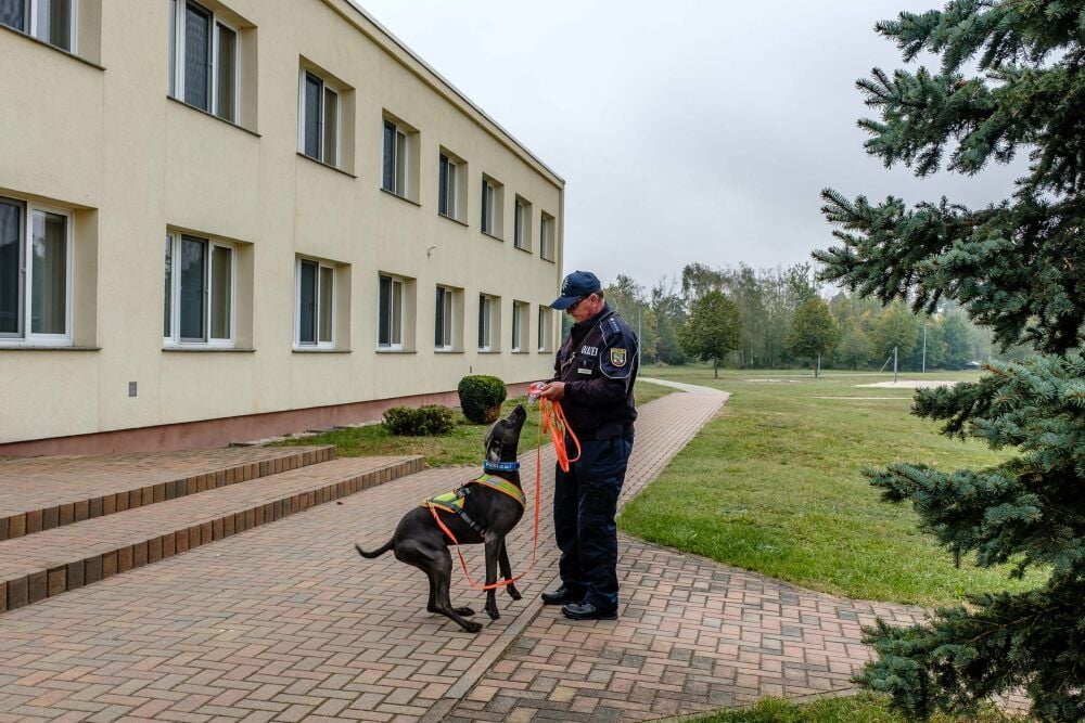 Spürhund Aramis soll eine vermisste Person suchen.