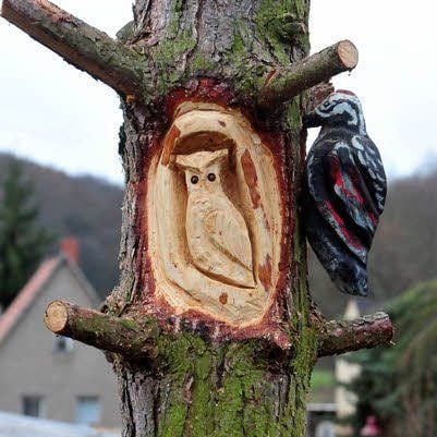 Eule und Schwarzspecht