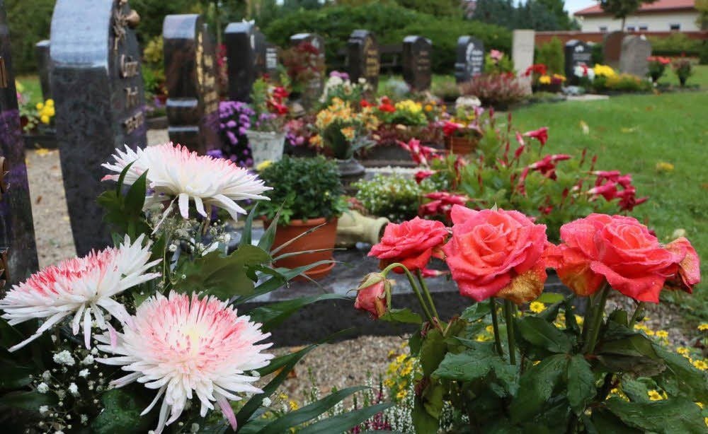 Länger als gewöhnlich zieren immer noch viele Blumen die Friedhöfe. Die milde Witterung bewirkt, dass mancher auf die herbstliche Zwischenbepflanzung gleich ganz verzichtet.