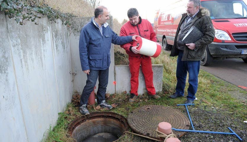 Thoralf Gajek , René Lehmann und Hartmut Käsmarker (v.l.) mit einem Molch.