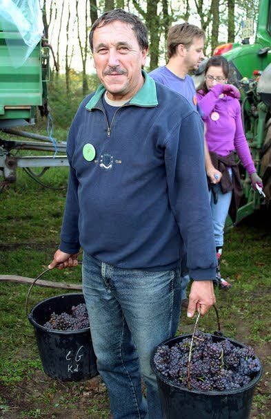 Hartmut Röder trägt die letzten beiden Eimer voller Trauben zum Anhänger.