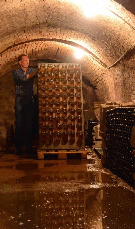 In der Naumburger Wein- und Sektmanufaktur läuft nach der Überflutung der Betrieb bereits wieder an. Im Keller steht an einigen Stellen noch das Wasser. Größere Schäden konnte Winzer Andreas Kirsch vermeiden.