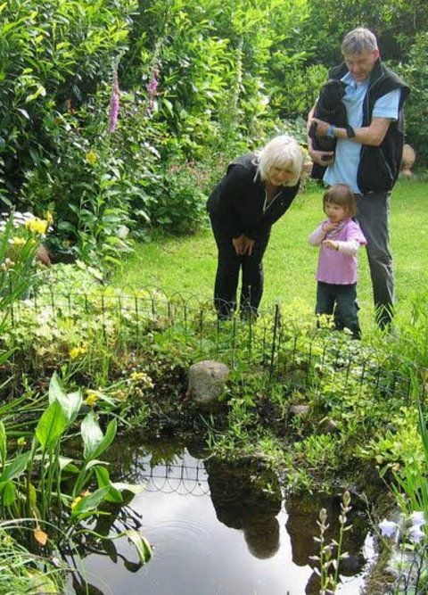 Teiche Fische brauchen immer genug Sauerstoff