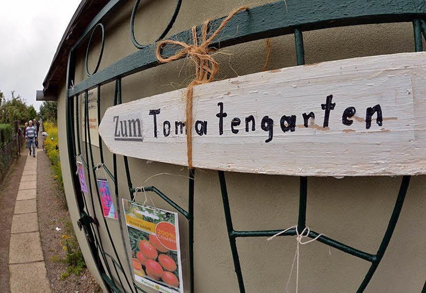 Bereits zum fünften Mal wird in den Tomatengarten eingeladen.
