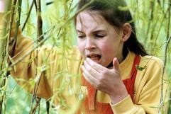 Triefende Nase und Atemnot: Eine Pollenallergie ist nicht nur lästig, sondern kann auch zu gefährlichem Asthma führen. (Foto: dpa)