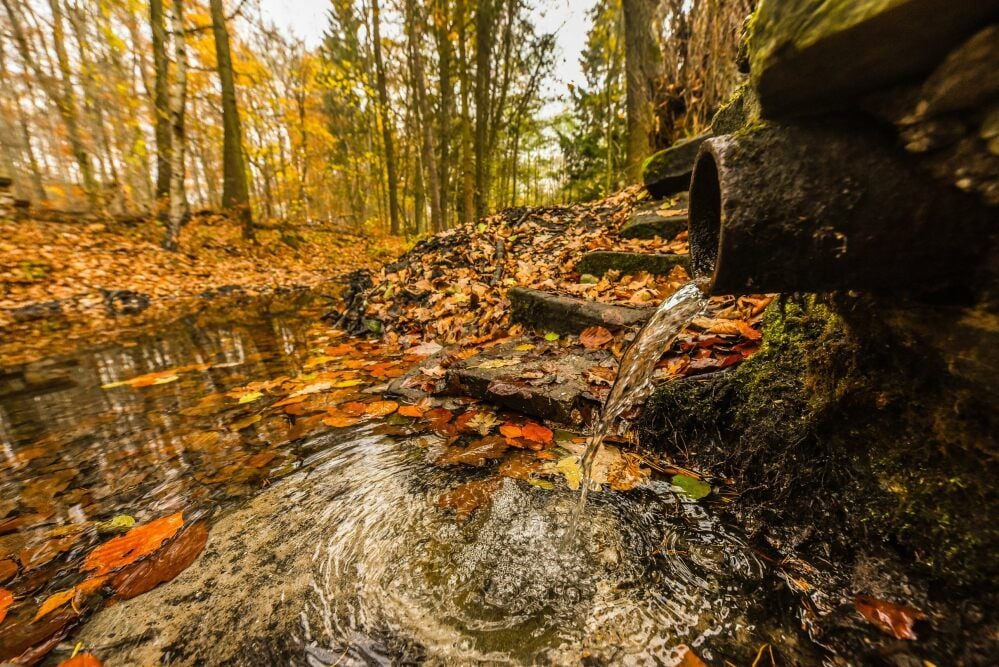 Wasserzufluss ist da: Der Teich rund um den Uhu soll mit Hilfe von Fördergeldern renaturiert werden.