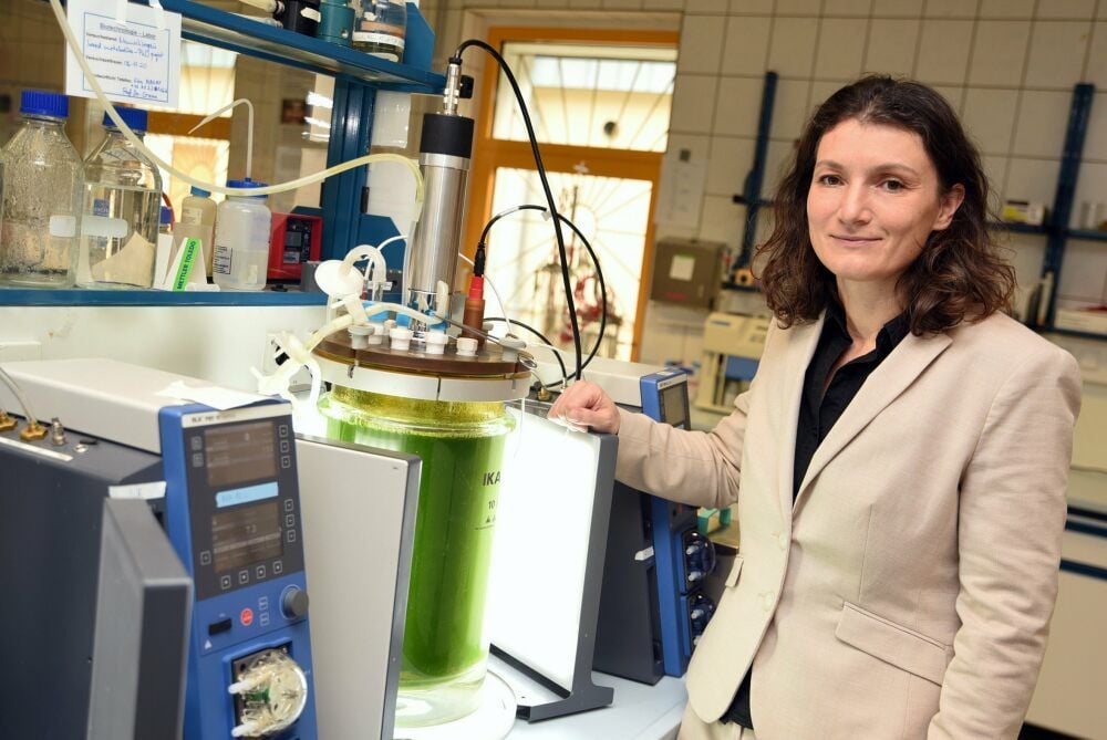 Claudia Grewe ist jetzt Professorin im Fachbereich Angewandte Biowissenschaften und Prozesstechnik.