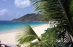 Idylle in Grand Case: St. Martin besitzt fast 40 Strände. (Foto: dpa)