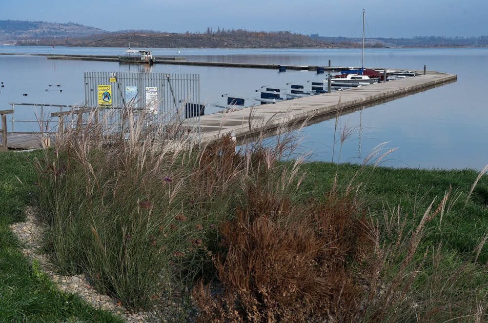 Für den Hafen Braunsbedra hat die Stadt ein „Ökokonto“ angelegt.